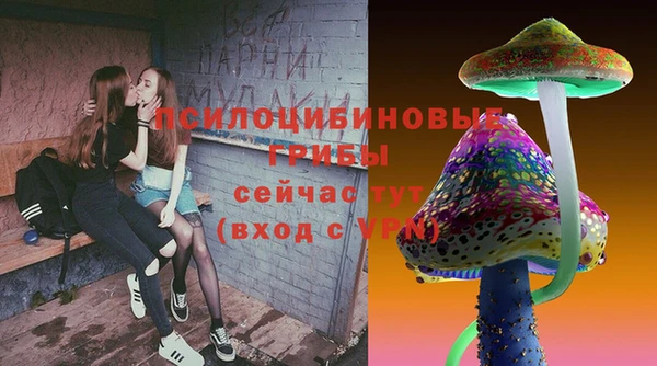 шишки Баксан