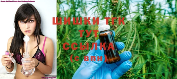 шишки Баксан